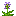 water_hyacinth