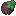 Hoary Apple