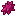 Roasted Colbur Berry