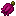 Roasted Kasib Berry