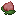 Roasted Pecha Berry