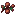 chocolate_glazed_berries