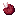 Corrupted Chorus Fruit