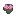 Lotus Flower