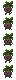 Mandrake