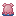 Umbrella Octopus Spawn Egg
