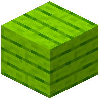 Lime Planks