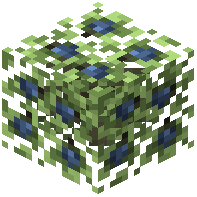 Berry Bush