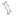 wood/twig/araucaria