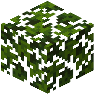 Ancient Leaves