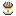 Cooked Canned Pork