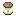 Canned Pork