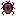 Sealed Brown Scarab