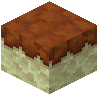 Amber Moss Path