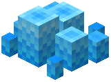 Bubble Coral