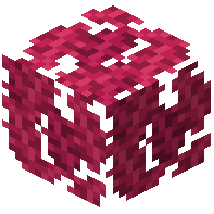 Cave Bush