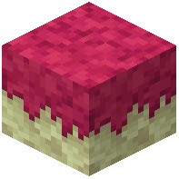 Cave Moss