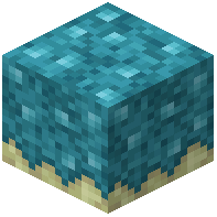 Crystal Moss