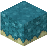 Crystal Moss Path
