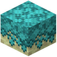 End Moss