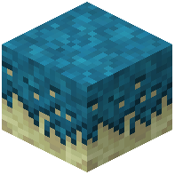 End Mycelium
