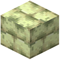 Weathered End Stone Bricks