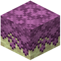 Pink Moss