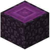 Pythadendron Log