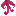 Rubinea