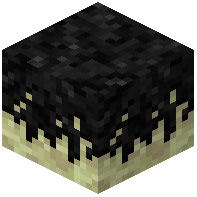 Shadow Grass
