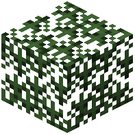 Cypress Leaves