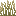 Dune Grass