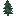 Fir Sapling