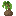 Palm Sapling