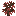 Red Maple Sapling