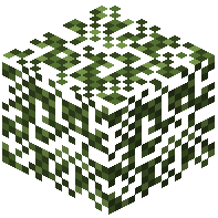 Redwood Leaves