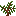 Redwood Sapling