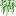 Spanish Moss