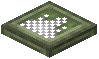 Willow Trapdoor
