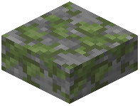 Mossy Stone Slab