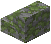 Mossy Stone Stairs