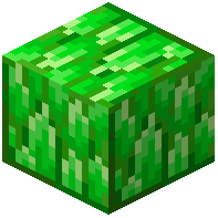 Block of Diopside