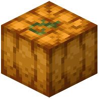 Cultivated Pumpkin