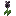black_shiny_flower