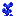 blue_double_flower