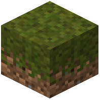 Dry Grass