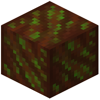 Glimmering Stripped Livingwood