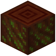 Glimmering Stripped Livingwood Log