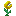 Gourmaryllis