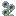 light_gray_double_flower